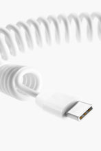 Lade das Bild in den Galerie-Viewer, Freizeitpark Traveller allroundo® eco  All-in-One Ladekabel

